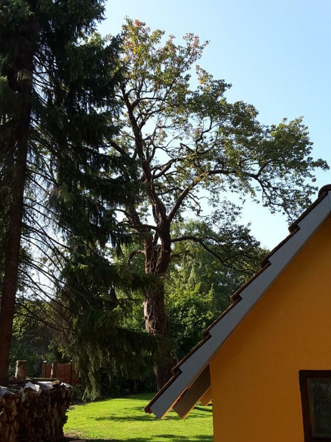 Villa Bleichehof Burg  Exterior foto